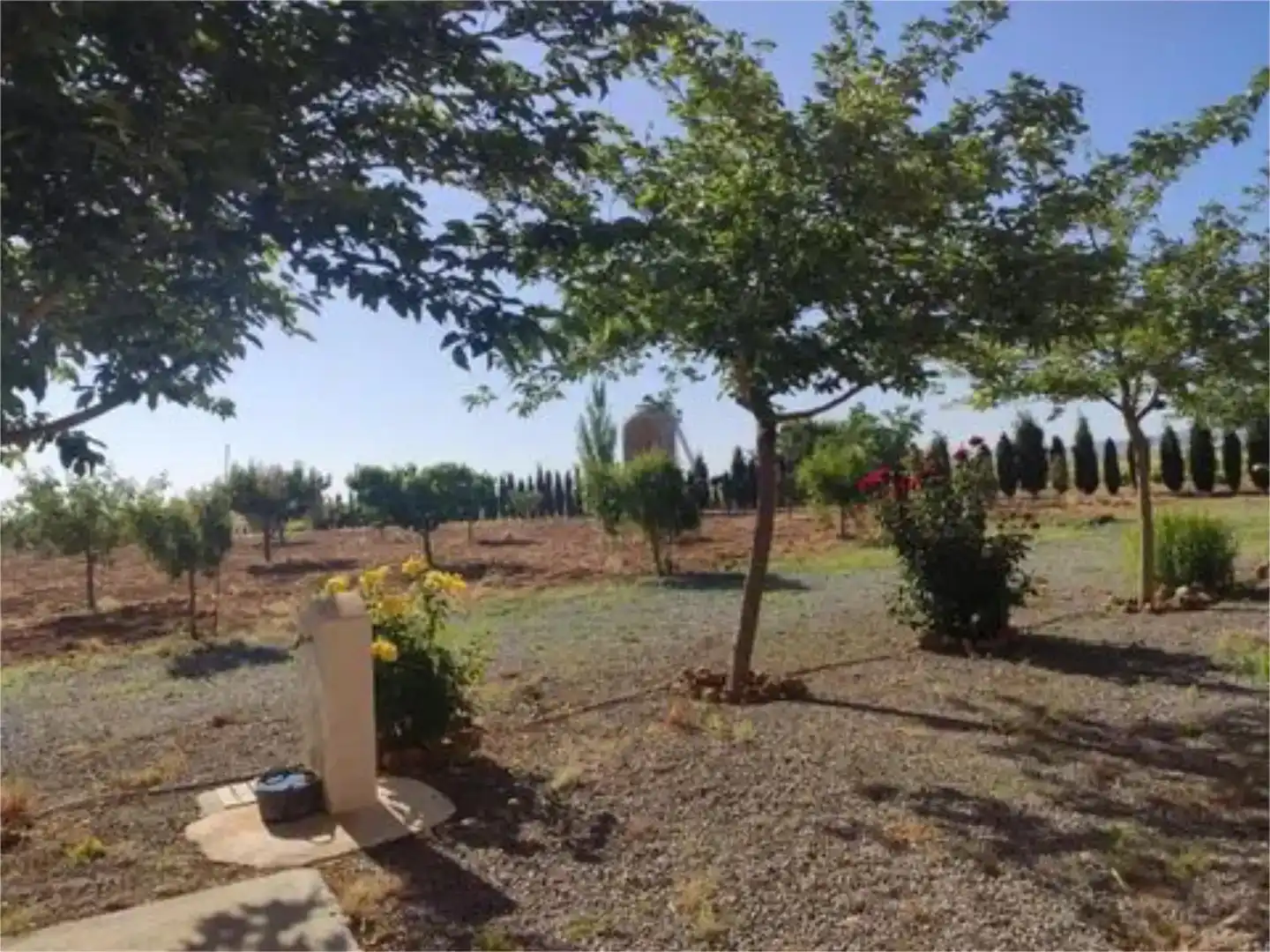 Jardí de Finca rústica en venda en Consuegra amb Jardí privat i Moblat