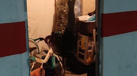 Photo 2 of Box room for sale in Carrer Mestre Pons, 1, Plans - Gasparot, Villajoyosa / La Vila Joiosa