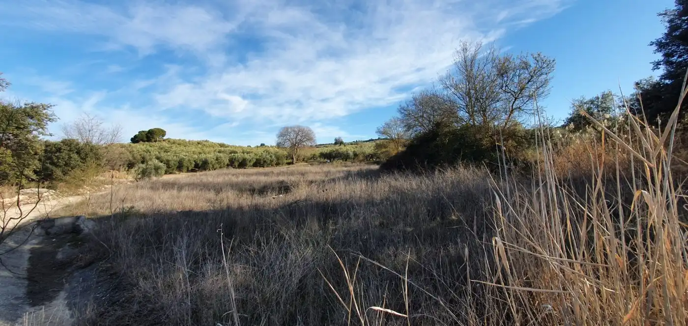 Finca rústica en venta en Moraleda de Zafayona
