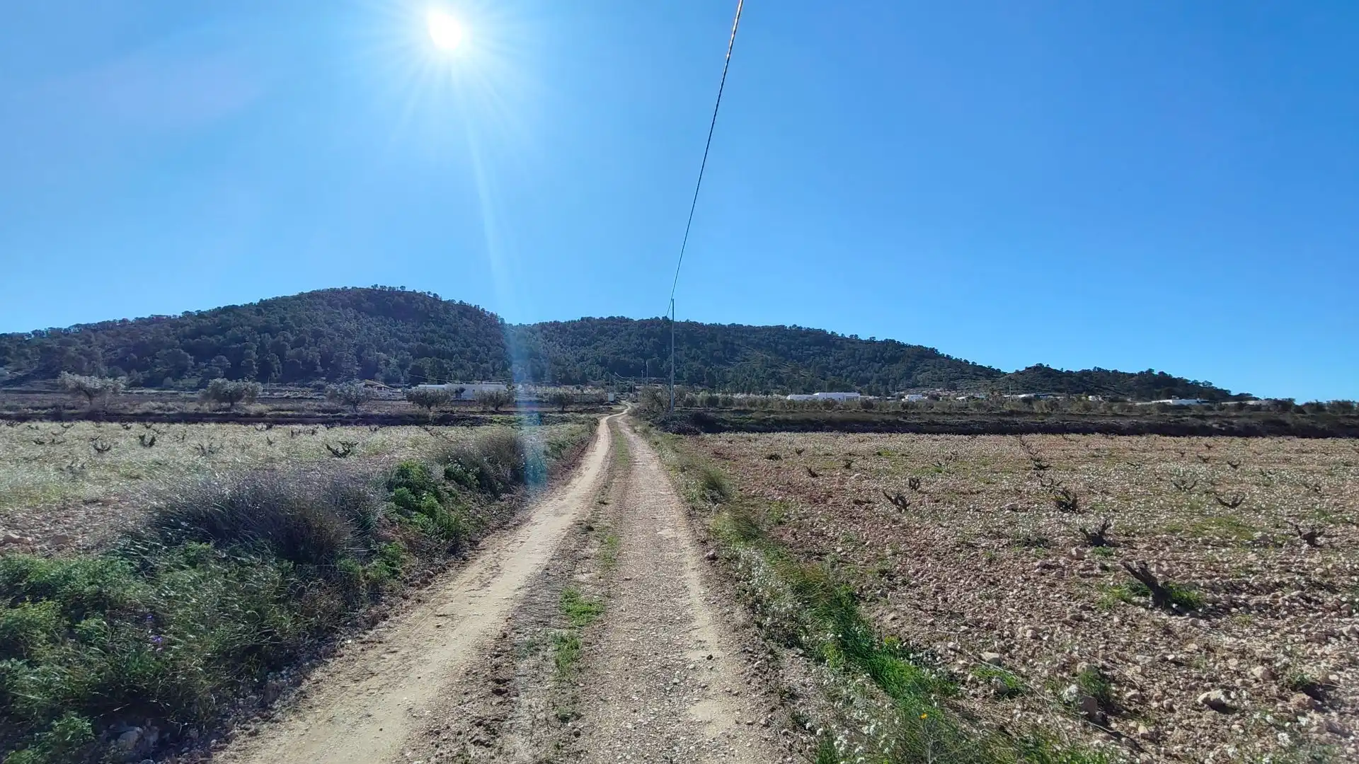 Lands and plots for sale in Abanilla, imagen 2