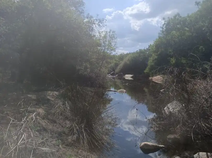 Terreno en venta en San Martín de Montalbán