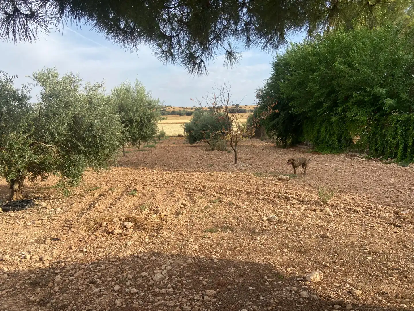 Casa o chalet en venta en Ciudad Real con Aire acondicionado, Calefacción y Jardín privado