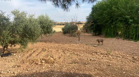 Photo 5 of House or chalet for sale in  de Los Parrales, Área Rural-Valverde-Las Casas, Ciudad Real