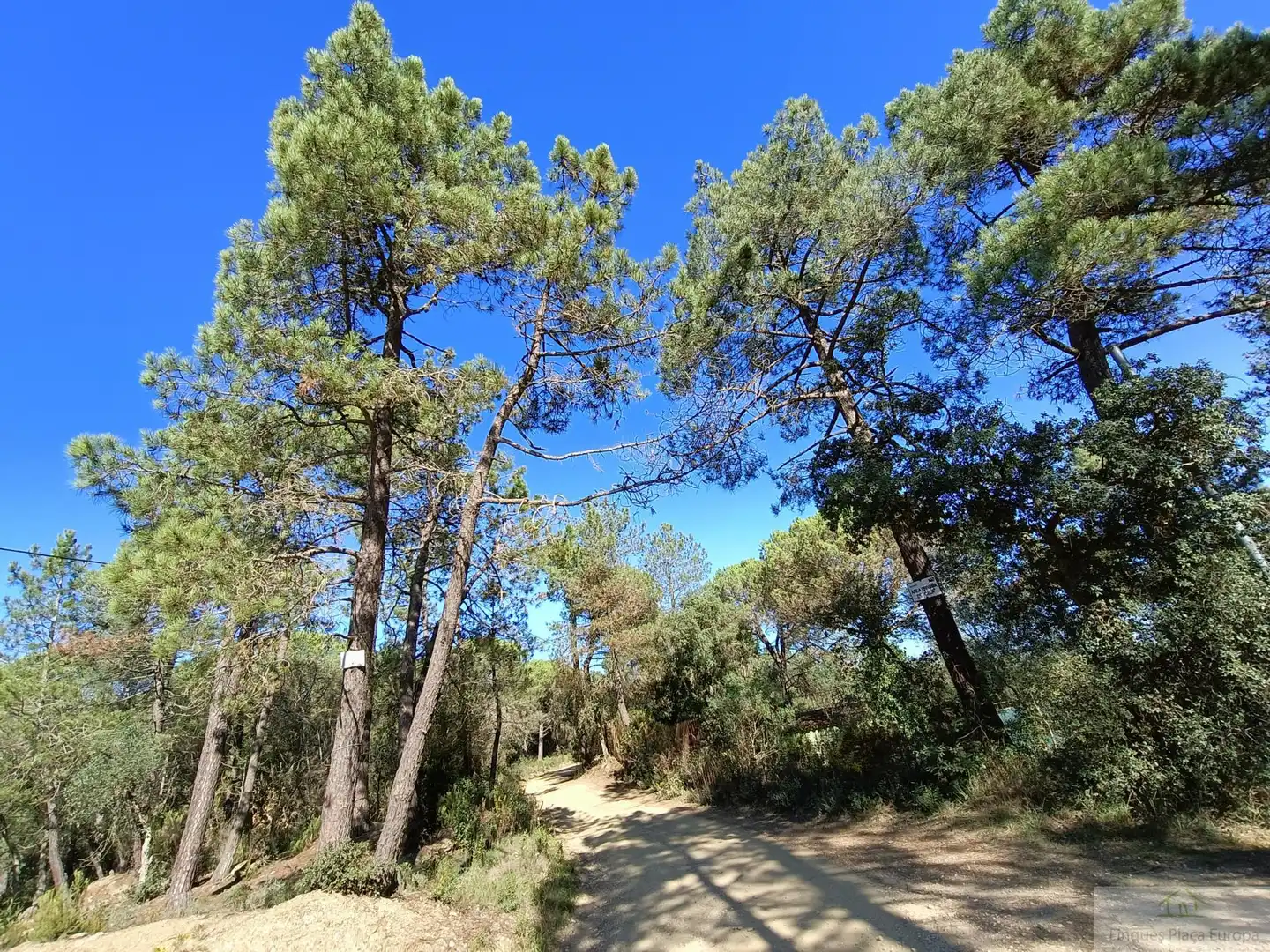 Vista exterior de Casa o chalet en venta en Girona