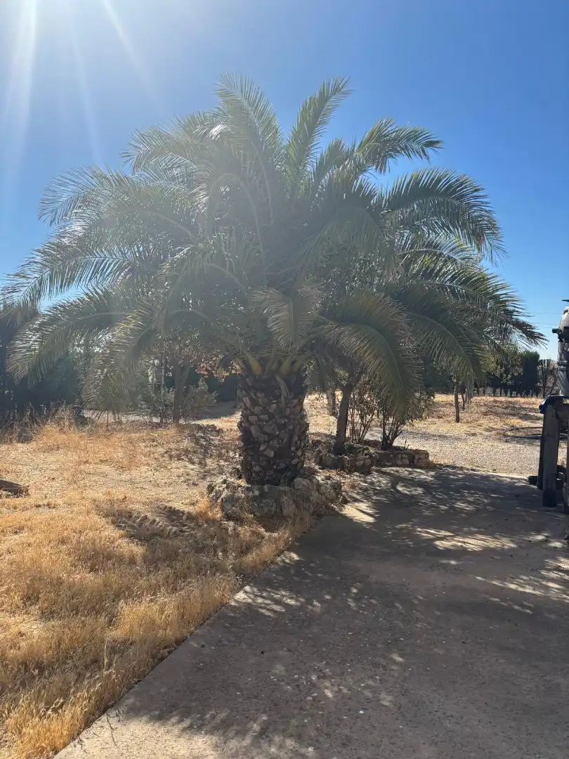 Terreno en venta en Ocaña