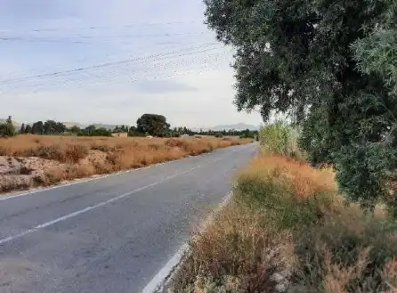 Rustikales Grundstück zum Verkauf in Pt Río Túria, imagen 7