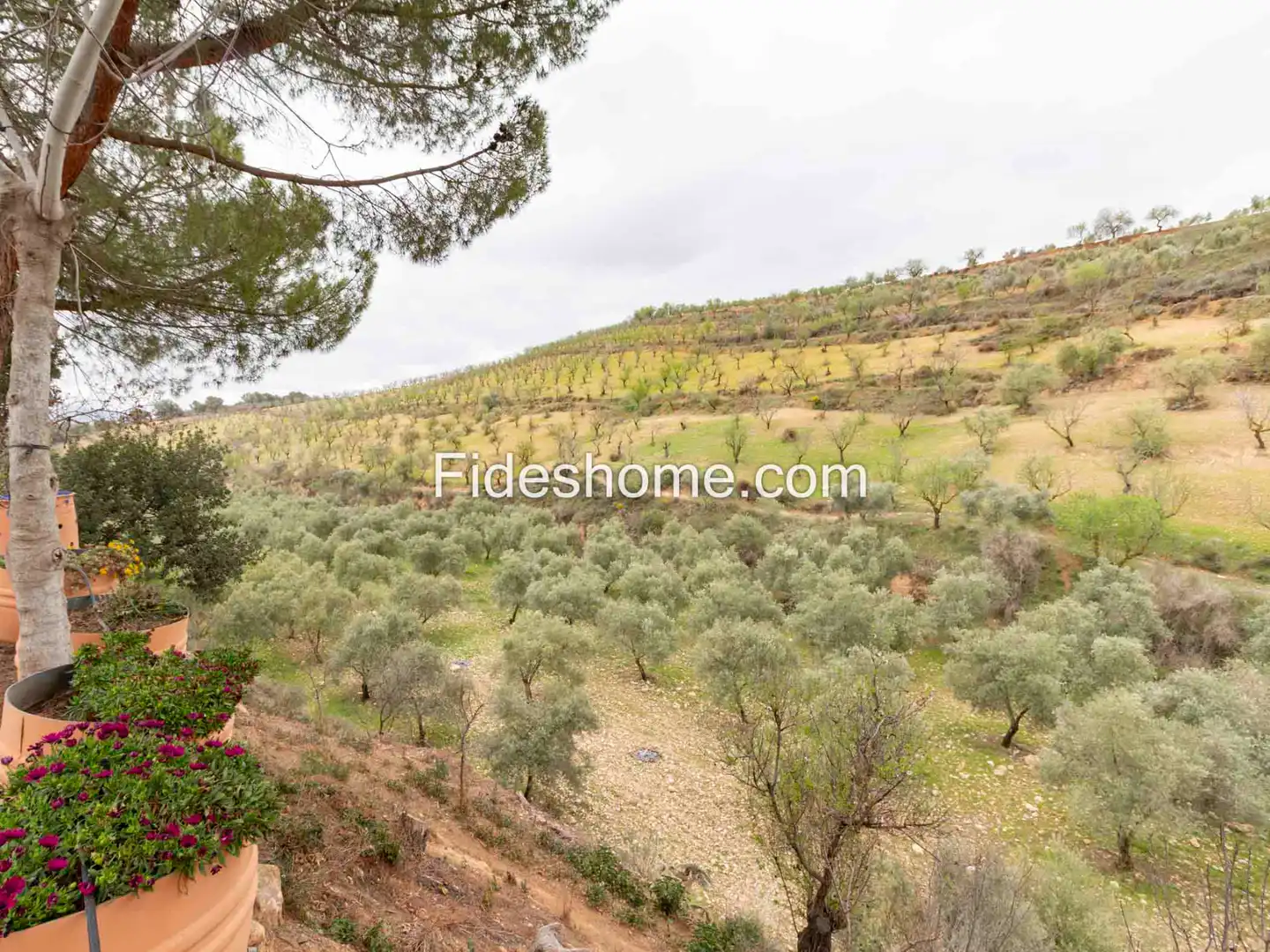 Finca rústica en venda en Villamena amb Jardí privat, Piscina i Moblat