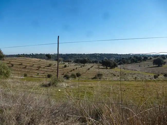 Rural land for sale in Paredes de Escalona, imagen 6