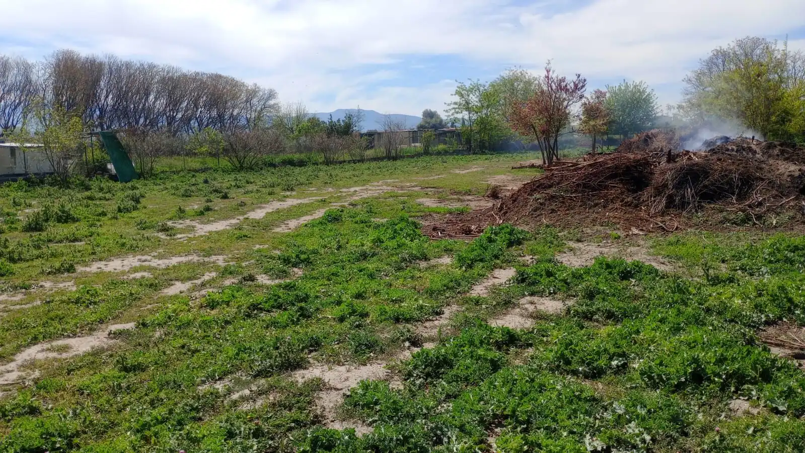 Terrenos y solares en venta en Casco Histórico, imagen 12