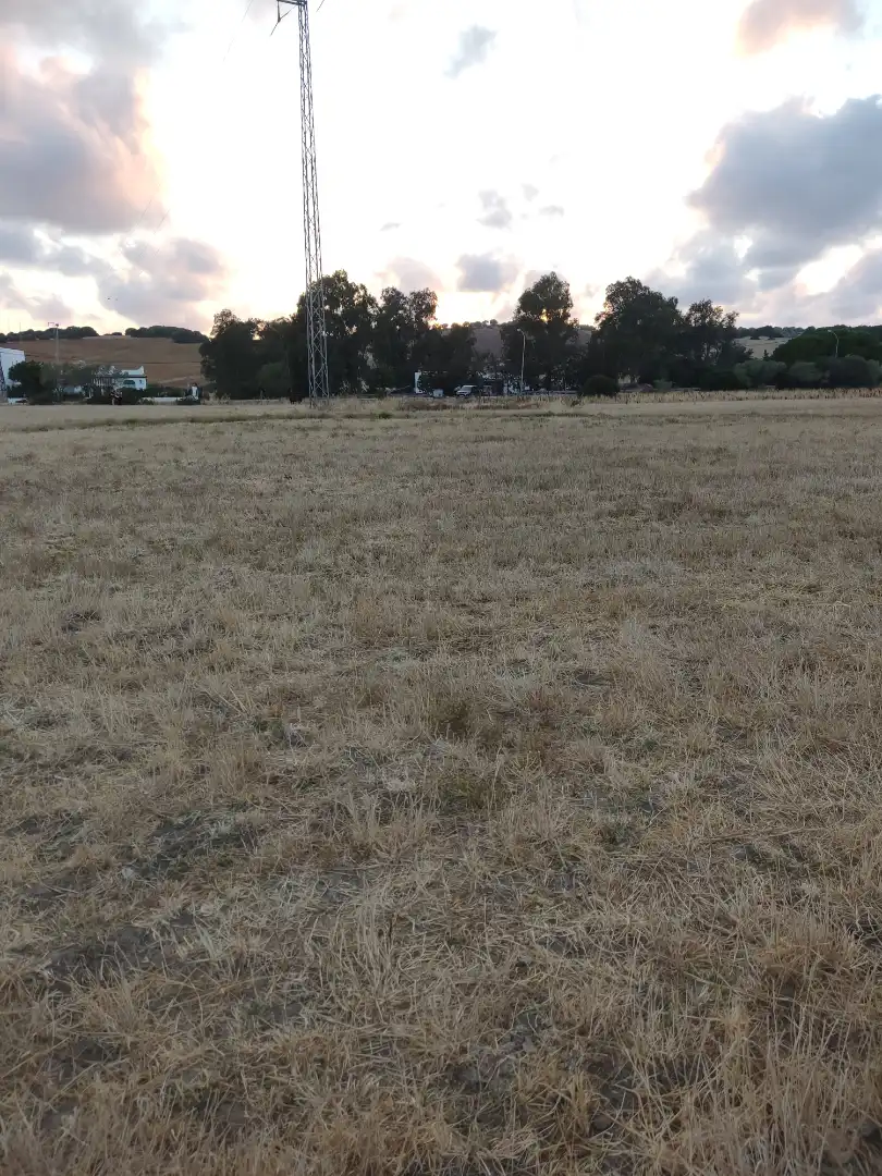 Land for sale in Vejer de la Frontera
