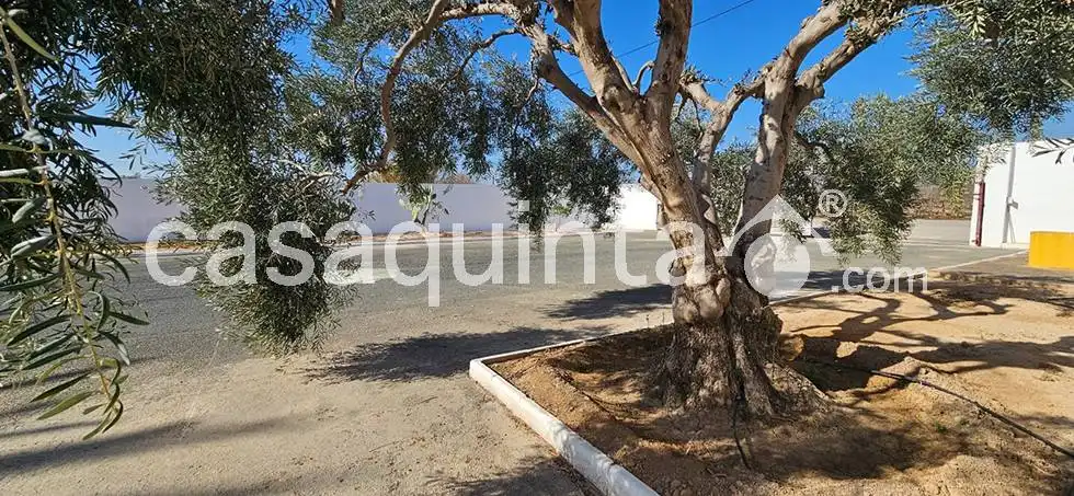 Grundstücke und Bauplätze zum Verkauf in Partida Atalayas Gp. 18, imagen 19