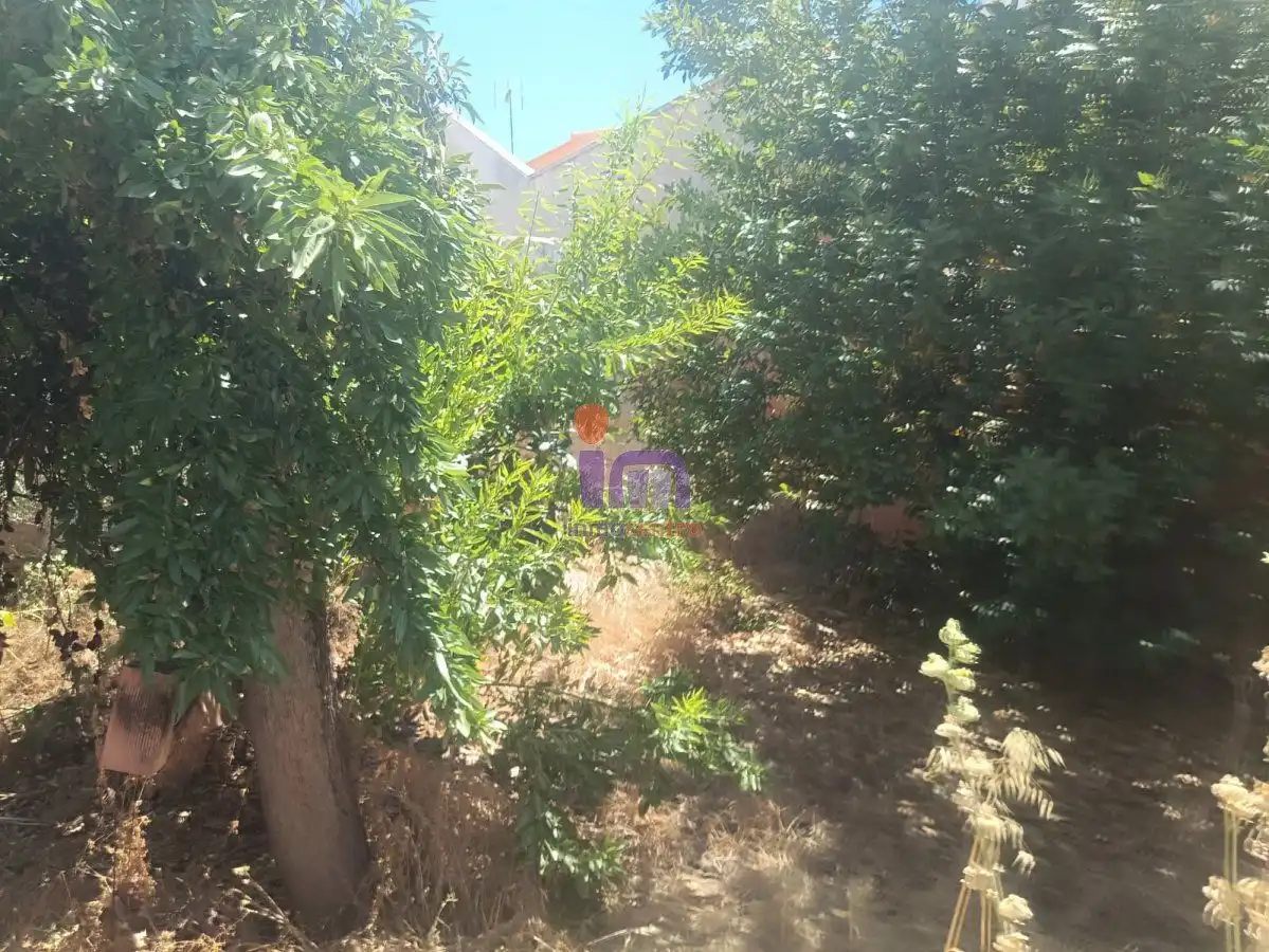 Lands and plots for sale in Valdepeñas, imagen 7