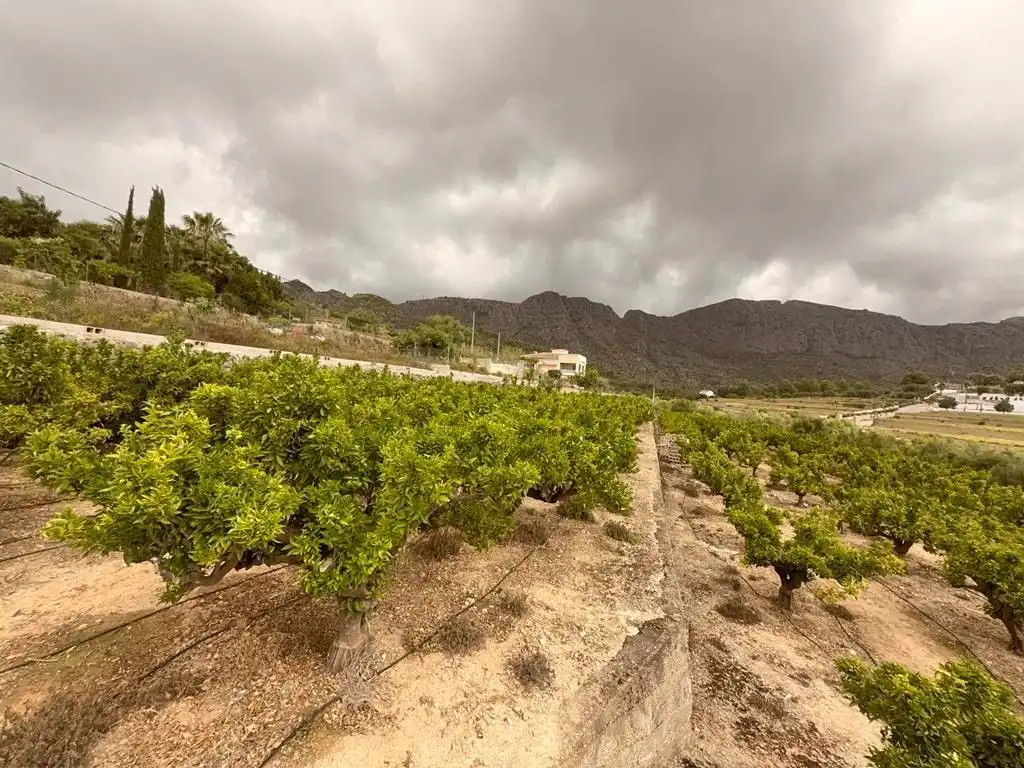 Vista exterior de Finca rústica en venda en Sanet y Negrals amb Calefacció i Jardí privat