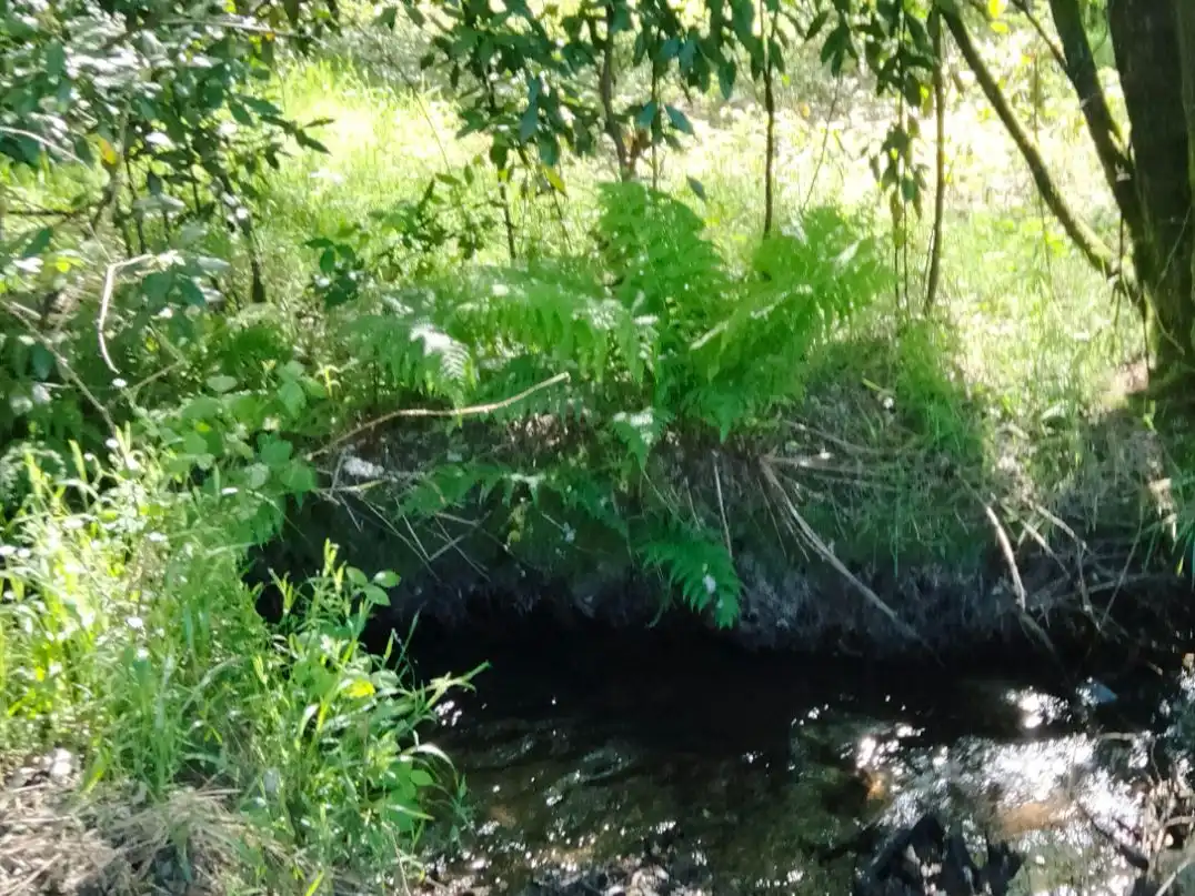 Außenansicht von Grundstücke zum Verkauf in Frades