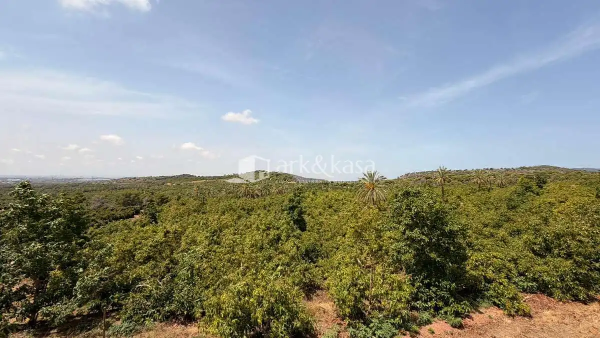 Casa o chalet de alquiler en Sagunto / Sagunt con Aire acondicionado, Jardín privado y Terraza