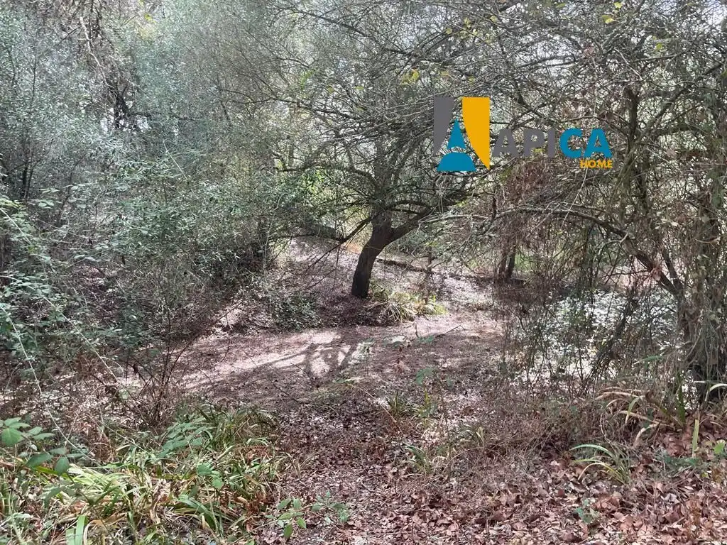 Terreni e lotti in vendita a Vejer, imagen 14