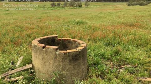 Foto 4 de Finca rústica en venda a Almonte ciudad, Huelva