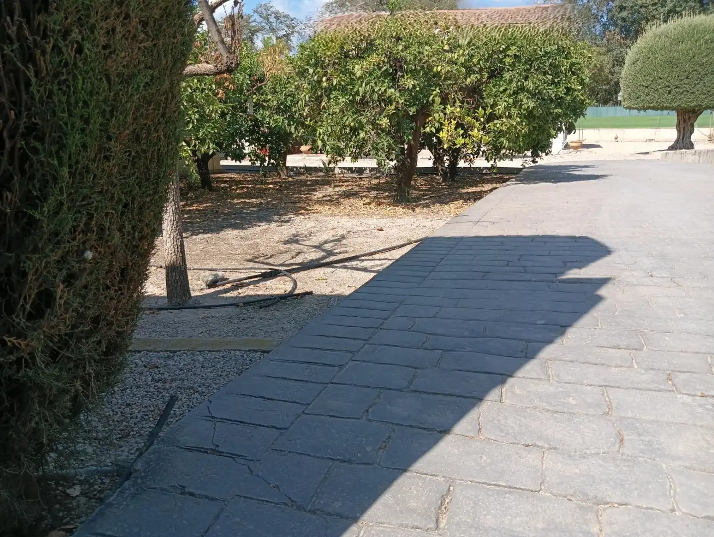 Villa in vendita a Lorca Ciudad, imagen 5