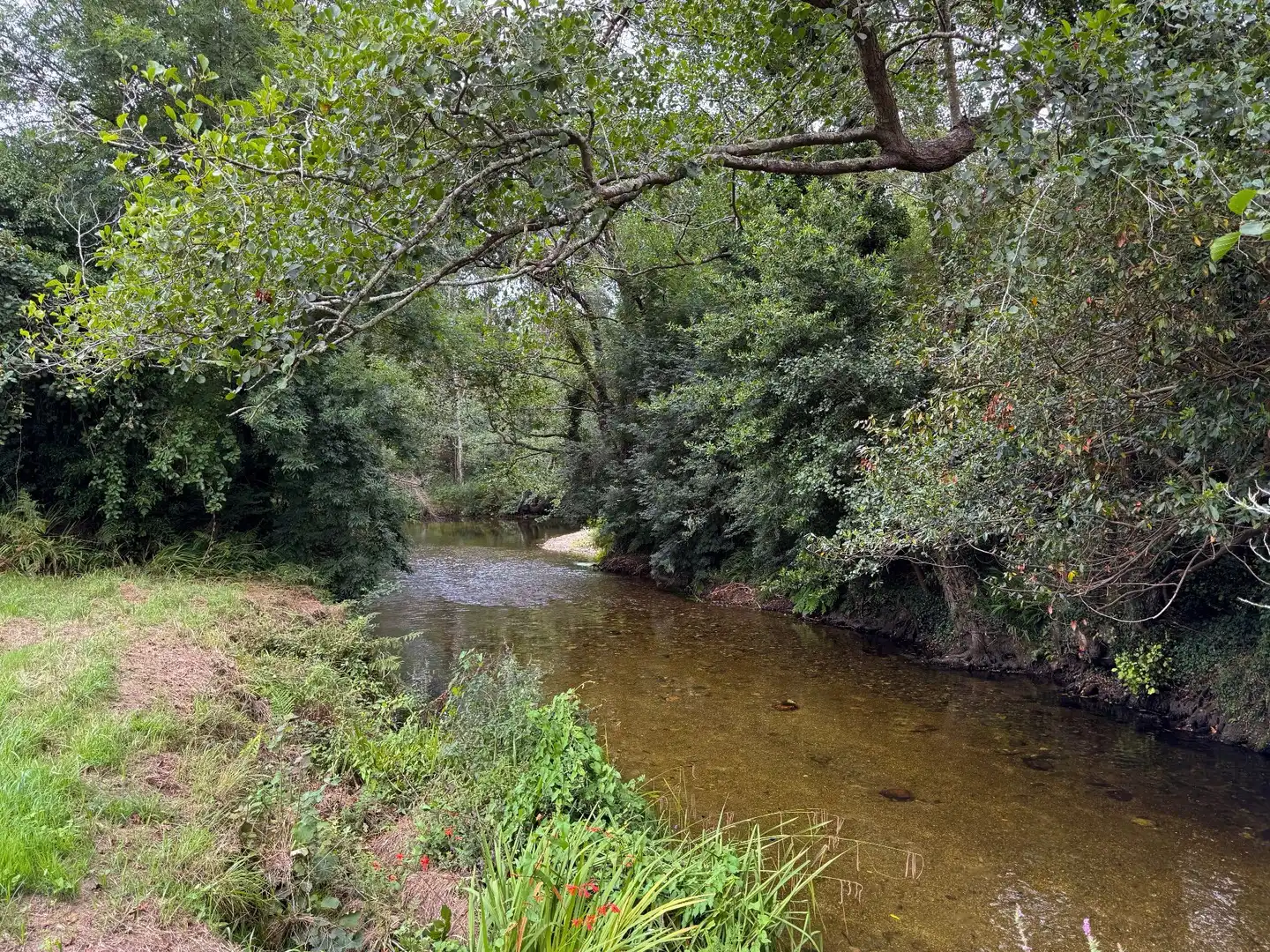 Exterior view of Land for sale in Mondoñedo