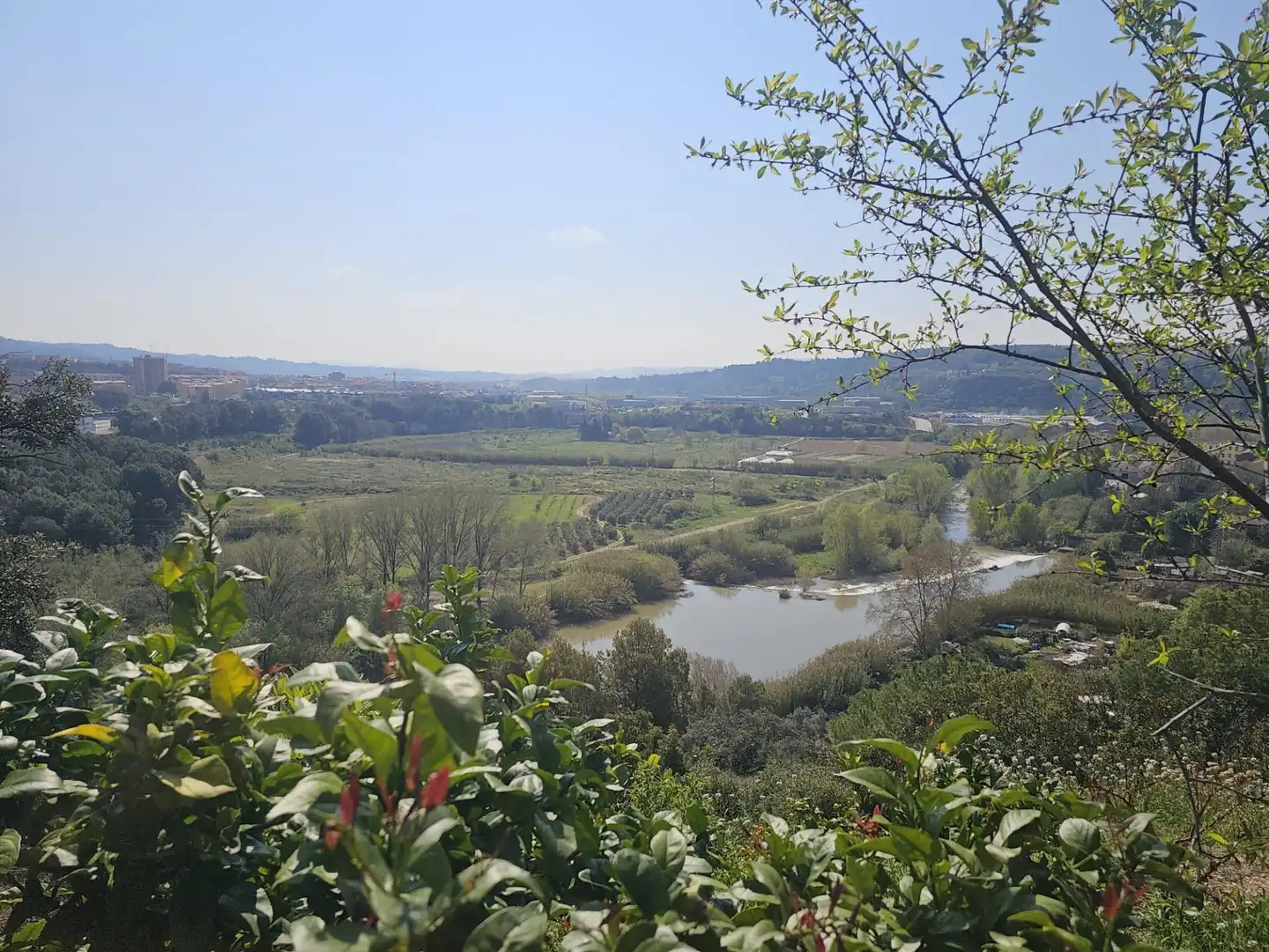 Jardín de Casa o chalet en venta en Esparreguera con Jardín privado, Terraza y Piscina