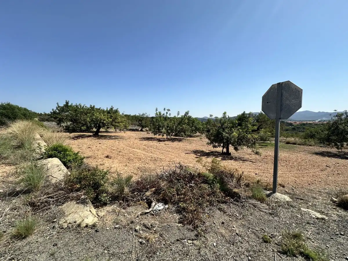 Terreno residencial en venta en Alfara de la Baronia, imagen 8