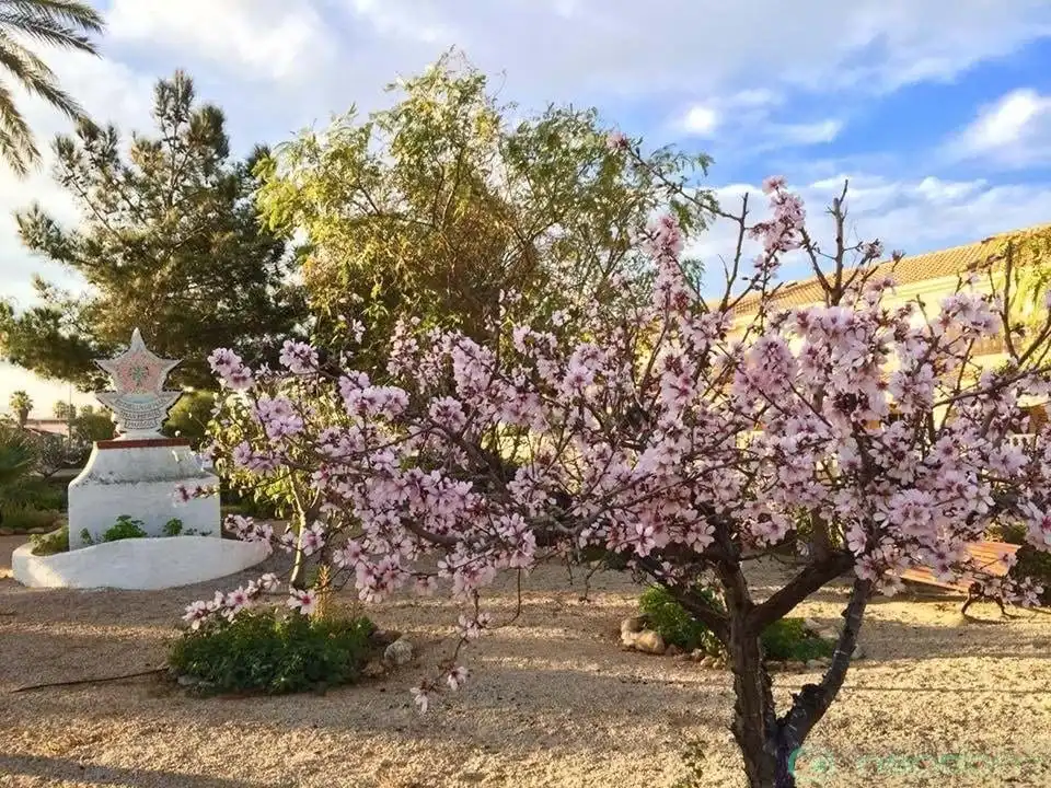 Maison à vendre à Mar Menor de Cartagena – Cabo de Palos, imagen 29