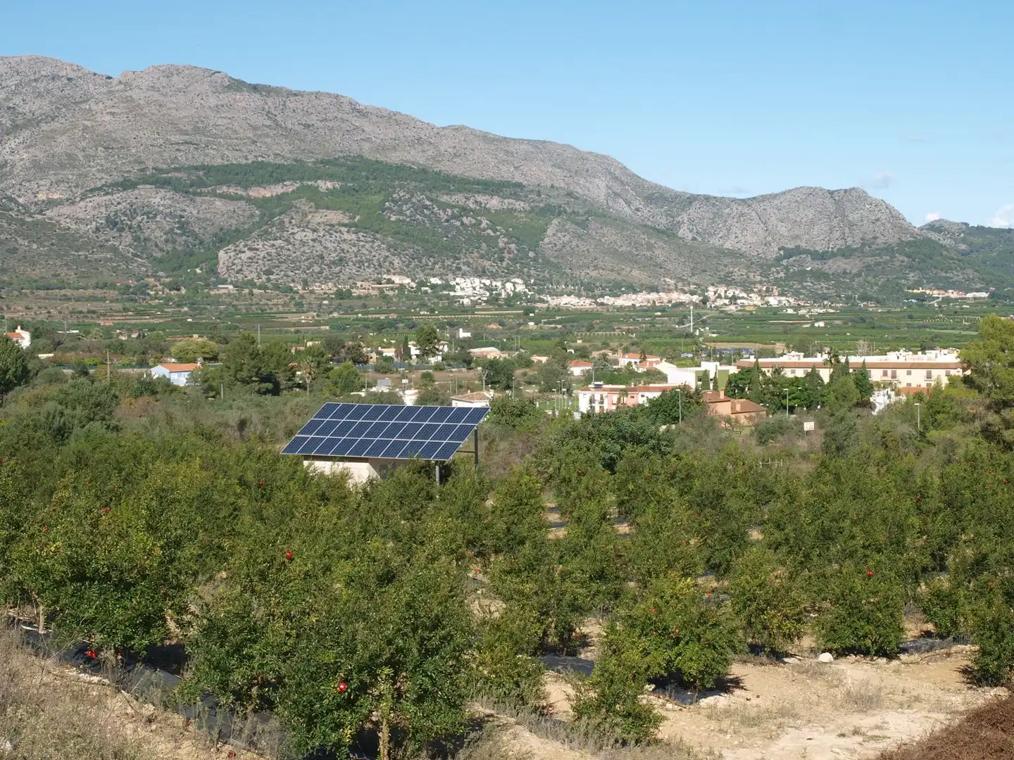 Terrenos y solares en venta en Tormos, imagen 10