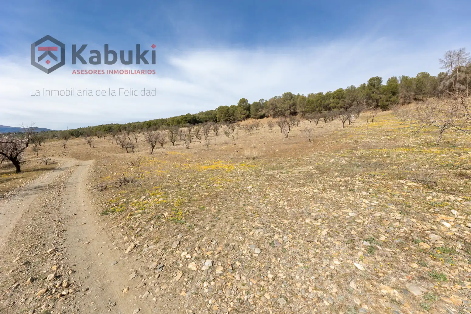 Terreni e lotti in vendita a Guadix - AUTE. VALLE DEL ZALABI, imagen 3