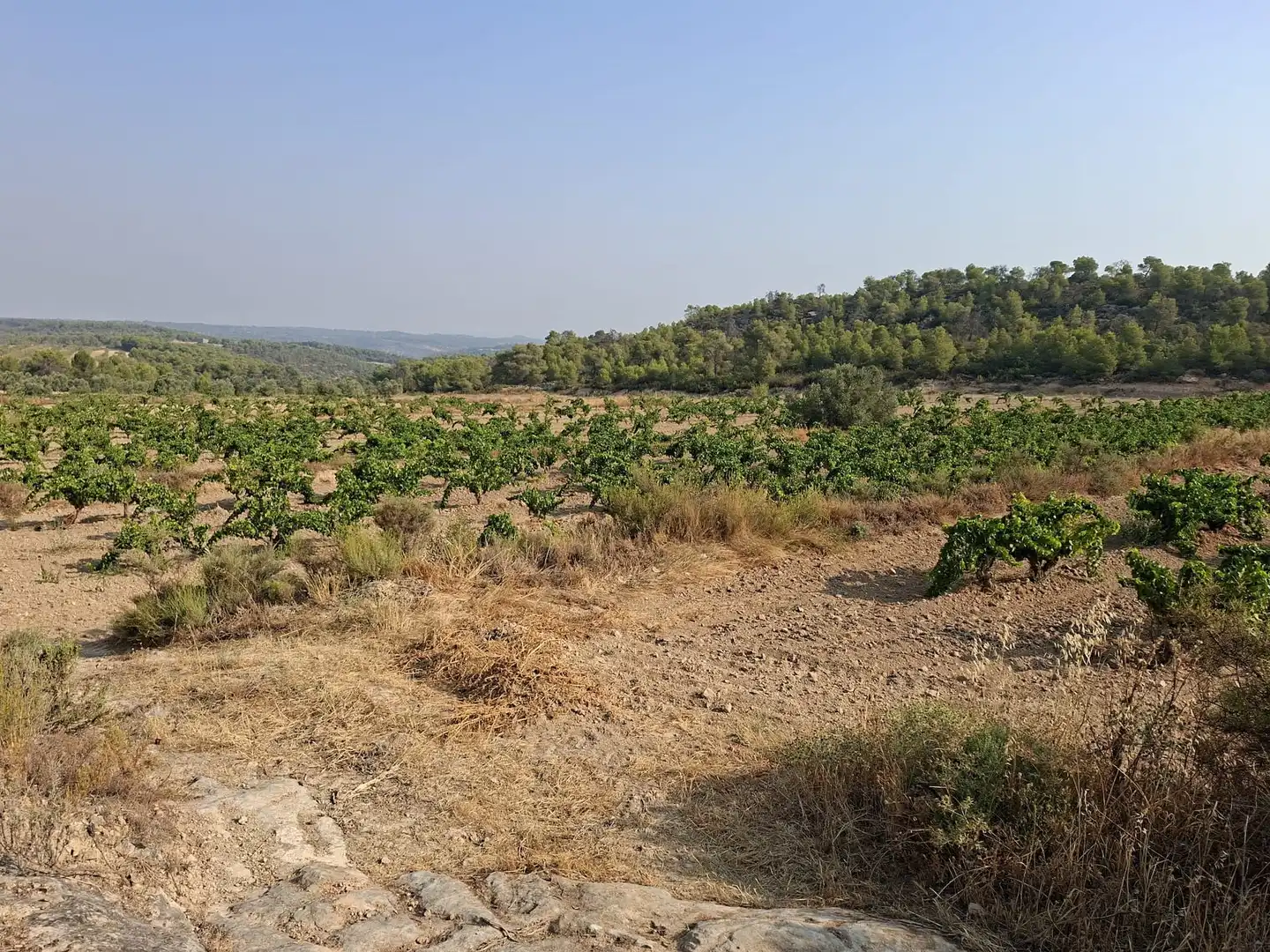 Terreno en venta en Nonaspe