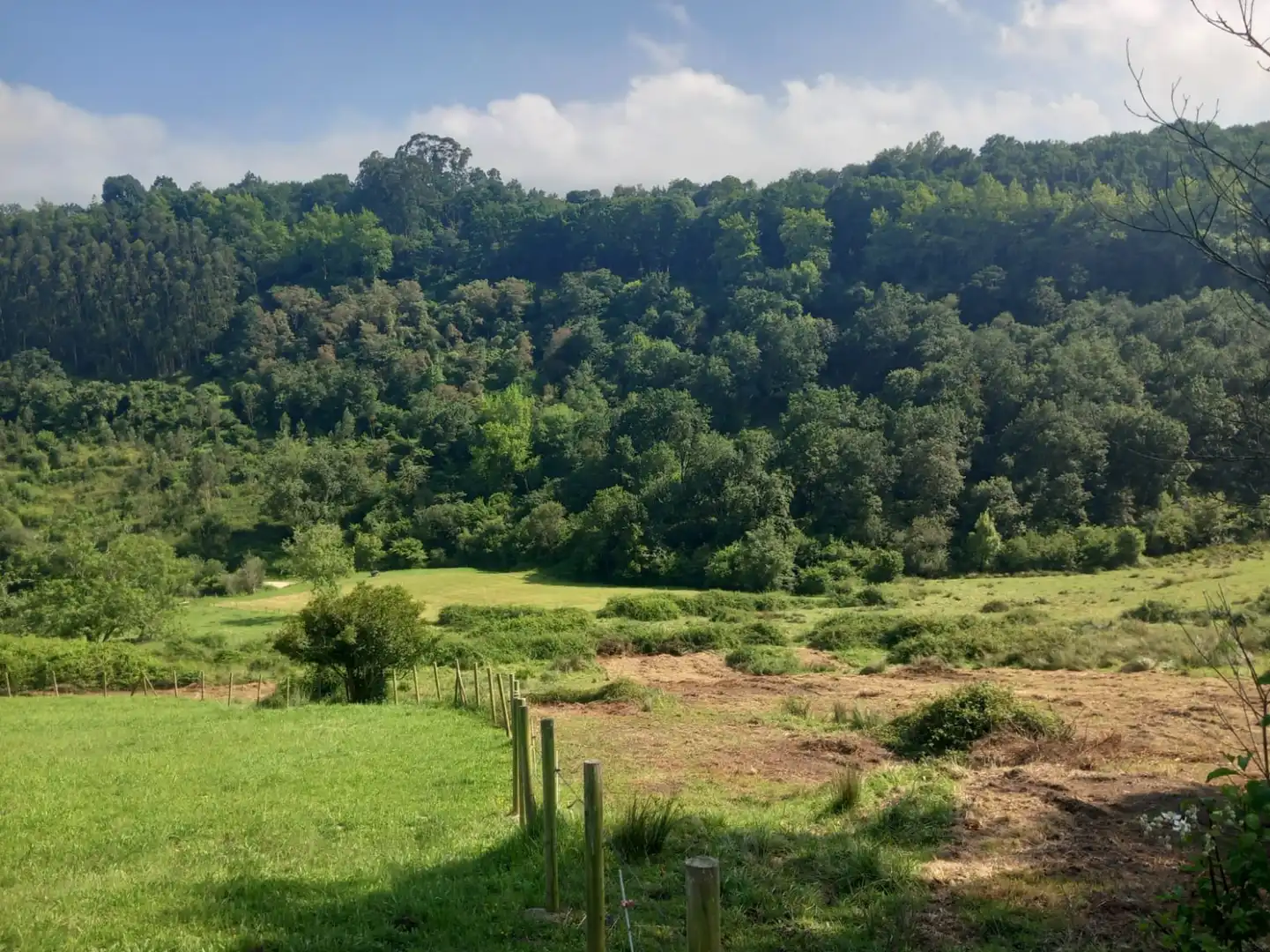 Terreni e lotti in vendita a Labarces - La Cardosa 21, imagen 7