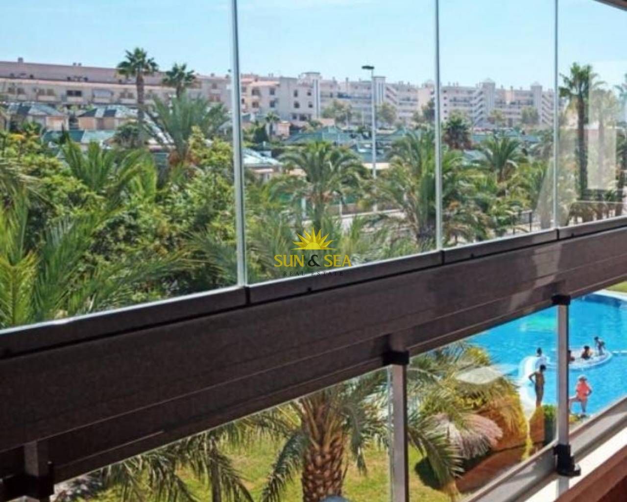 Terrace of Apartment to rent in Elche / Elx  with Air Conditioner, Heating and Terrace