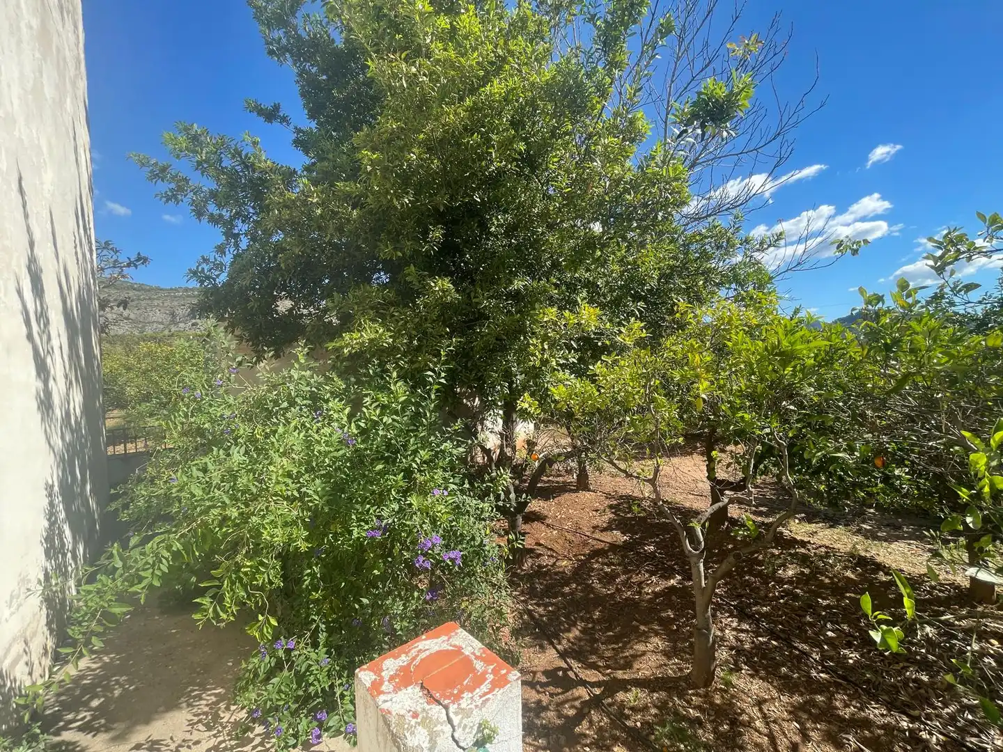 Grundstücke zum Verkauf in Castellón de la Plana / Castelló de la Plana
