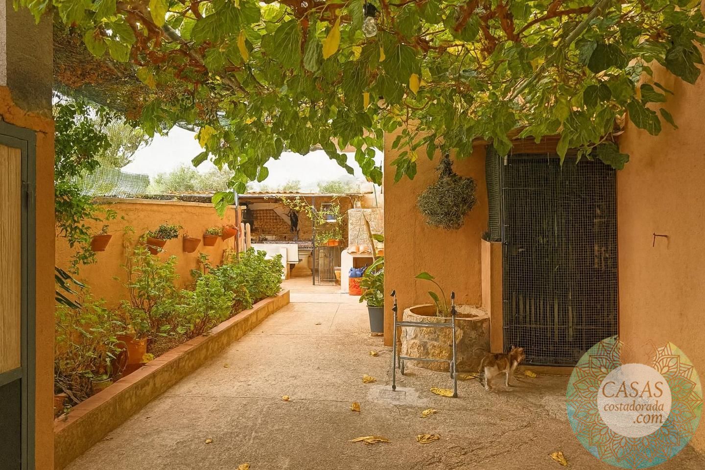 Garden of House or chalet for sale in Xerta  with Swimming Pool