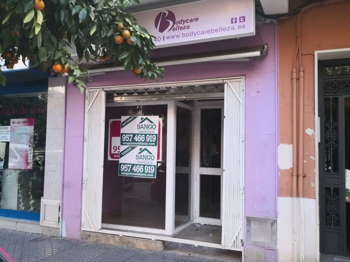 Business premises for sale in Poniente-Sur, imagen 6