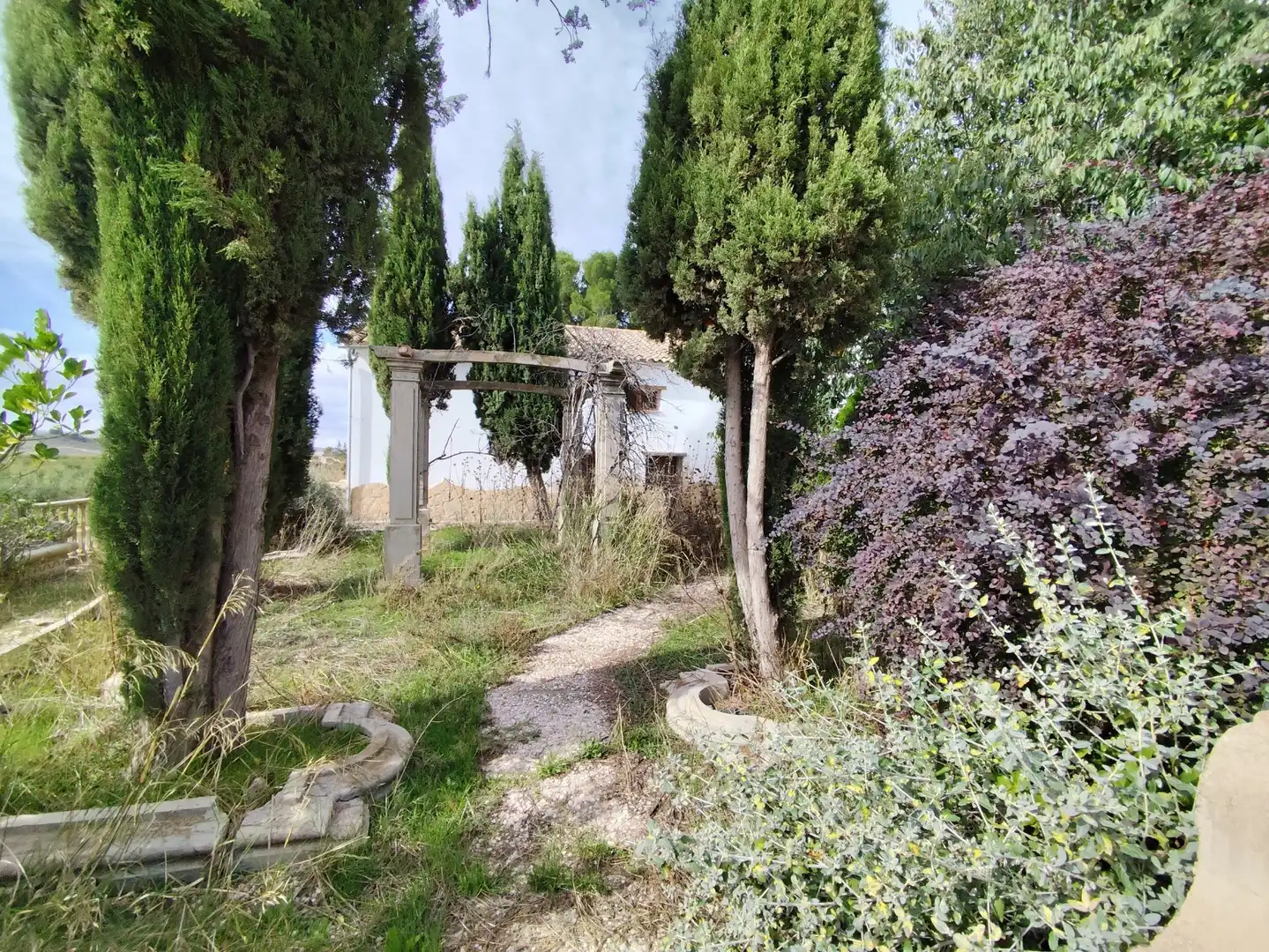 Einzigartige Immobilien zum Verkauf in Camino la Torre, imagen 29