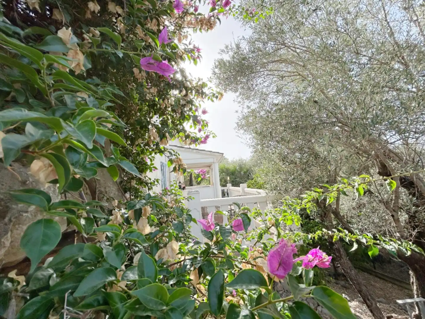 Villa avec piscine à vendre à Orba, imagen 44