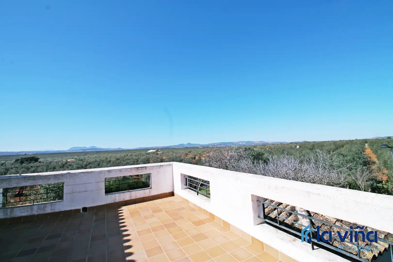 Terraza de Finca rústica en venta en Martín de la Jara con Aire acondicionado, Jardín privado y Trastero