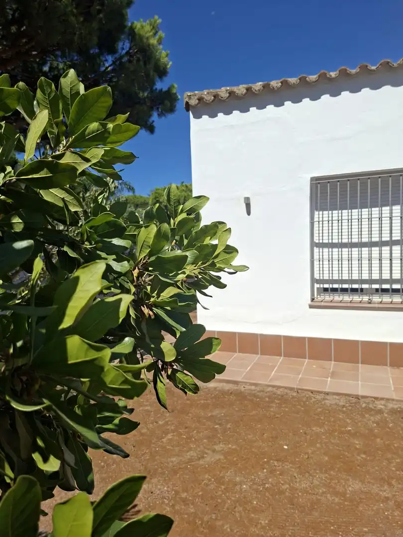 Jardí de Casa o xalet en venda en Chiclana de la Frontera amb Jardí privat