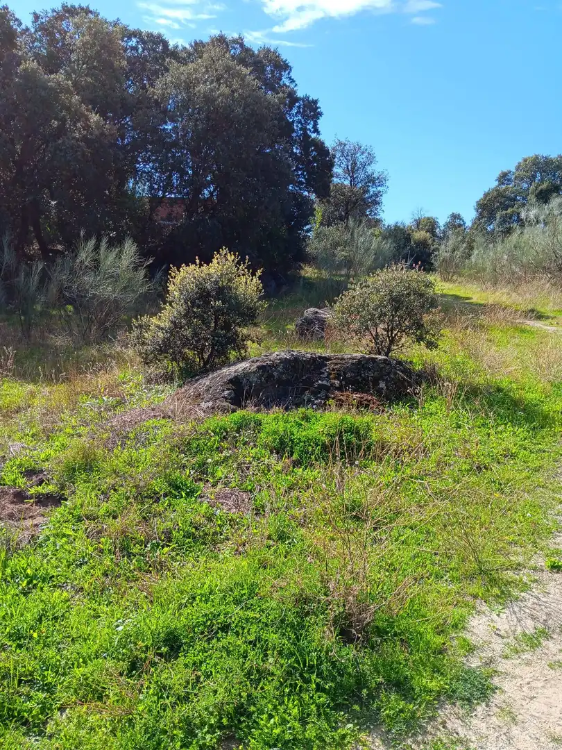 Terreno residencial en venta en Calle de Madrid 20, imagen 25