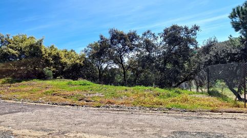 Photo 3 of Residential for sale in Calle Osuna, 6, Los Lagos, Guillena