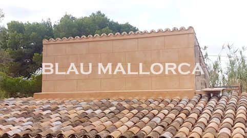 Foto 4 de Finca rústica en venta en Campos poble, Campos