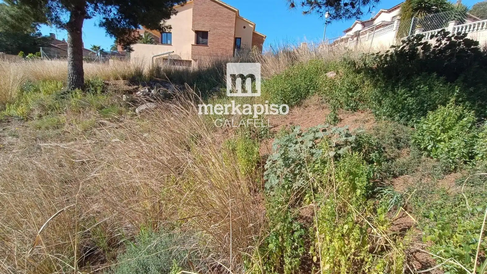 Terrain rustique à vendre à Roda de Barà, imagen 15