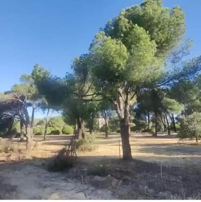 Terreny residencial en venda a Camino Huerto, imagen 2