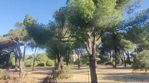 Foto 2 de Residencial en venda a Camino Huerto, Zona Monte El Pilar, Majadahonda