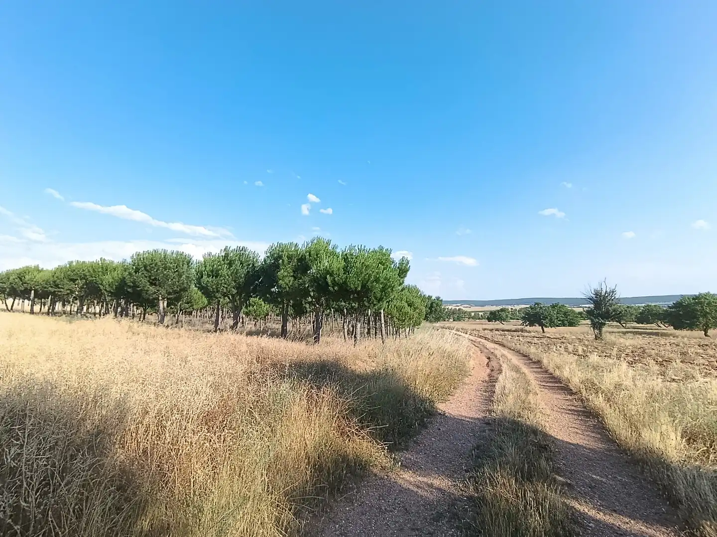 Casa o chalet en venta en Solarana con Calefacción, Amueblado y Horno