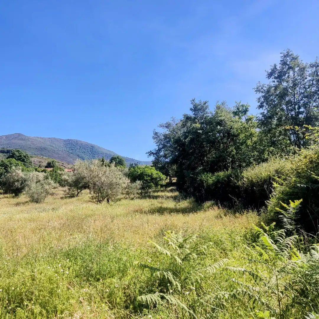 Land for sale in Jarandilla de la Vera