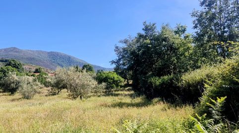 Foto 2 de Terreno en venta en N/a, -1, Jarandilla de la Vera, Cáceres