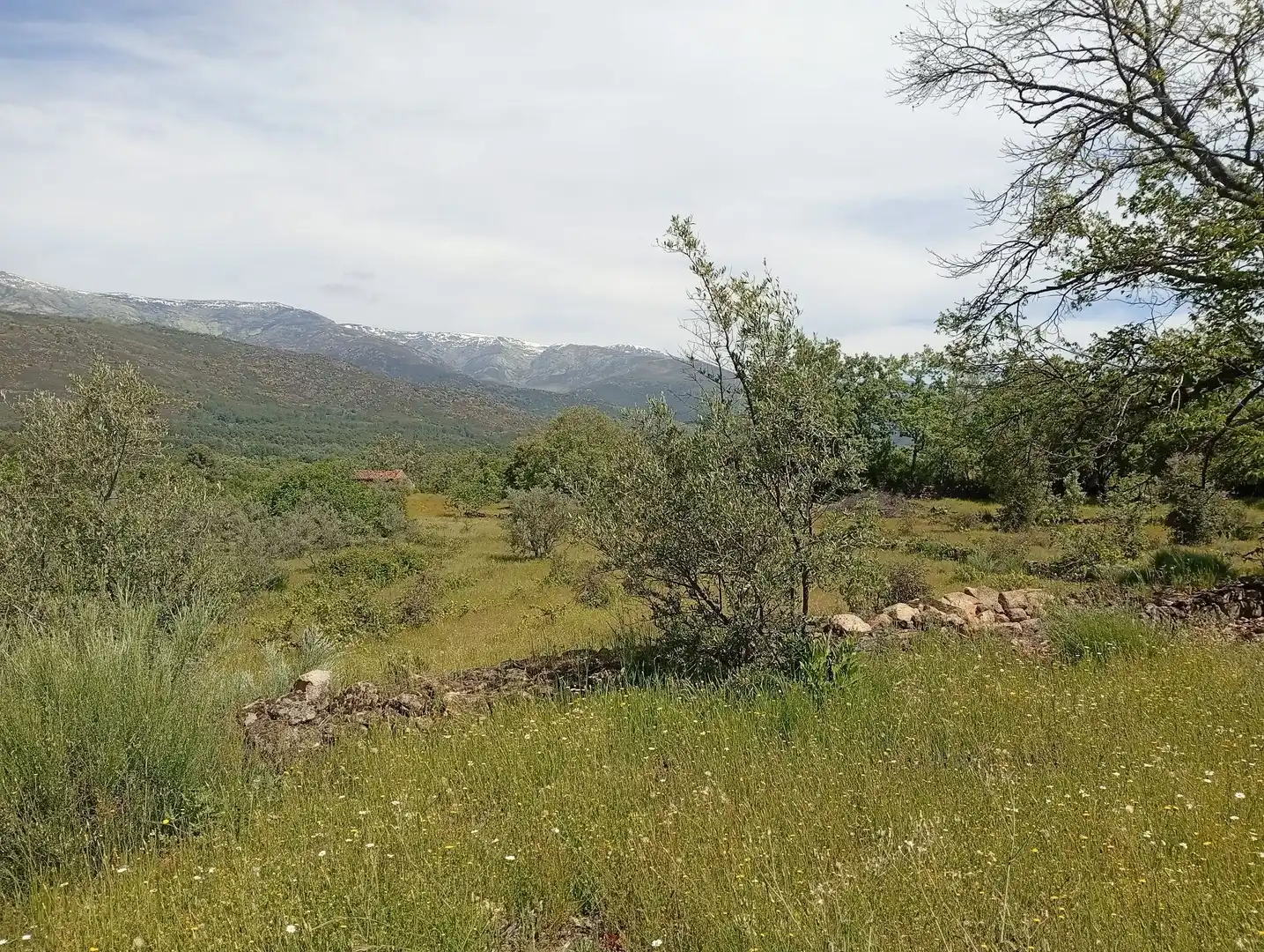Terreni e lotti in vendita a Villanueva de la Vera, imagen 74