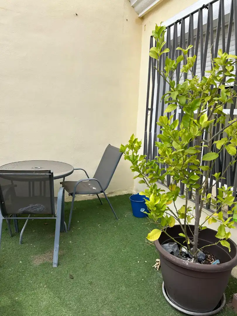 Terrassa de Casa o xalet en venda en Villanueva del Ariscal amb Aire condicionat, Jardí privat i Balcó