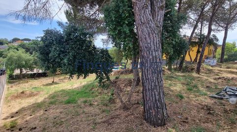 Parcela Llana en Venta en King Park  Sils, immagine 2